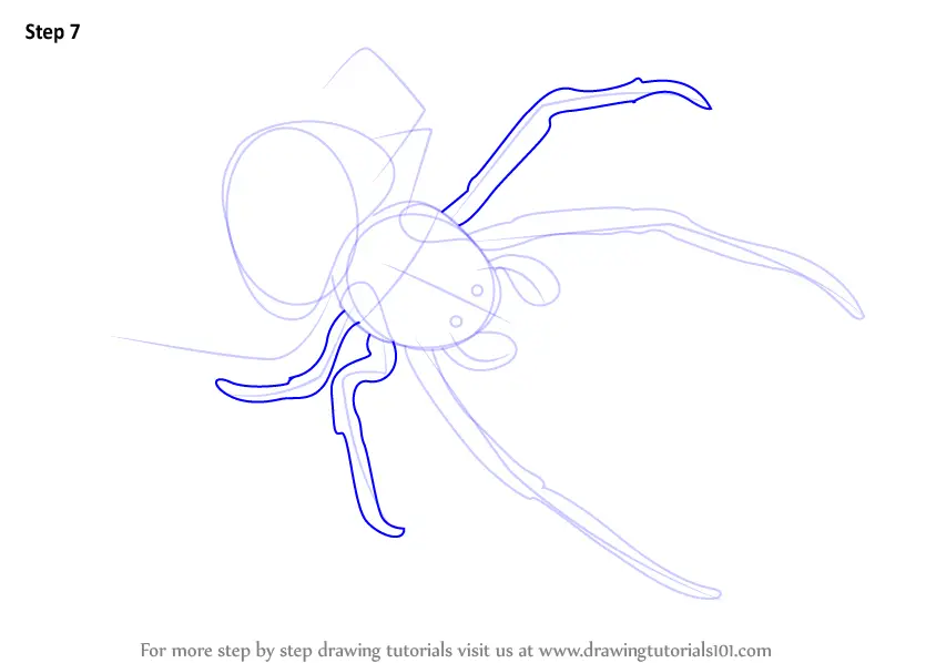 Learn How to Draw a Bolas Spider (Other Animals) Step by Step : Drawing ...