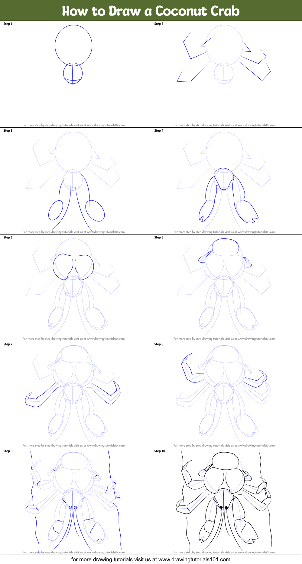 How to Draw a Coconut Crab printable step by step drawing sheet ...