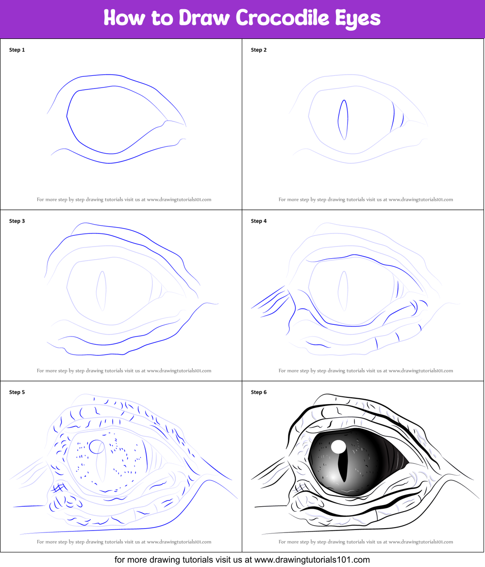 How to Draw Crocodile Eyes printable step by step drawing sheet ...