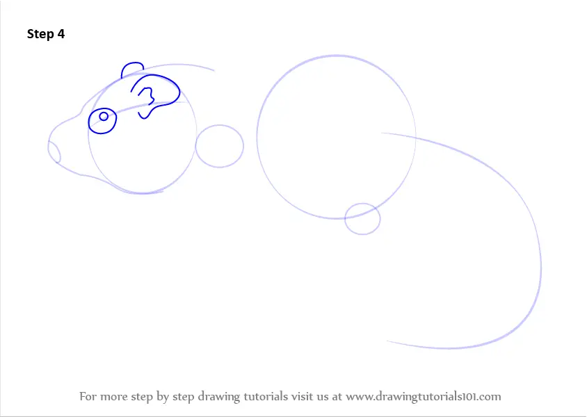 Step by Step How to Draw a Dormouse : DrawingTutorials101.com