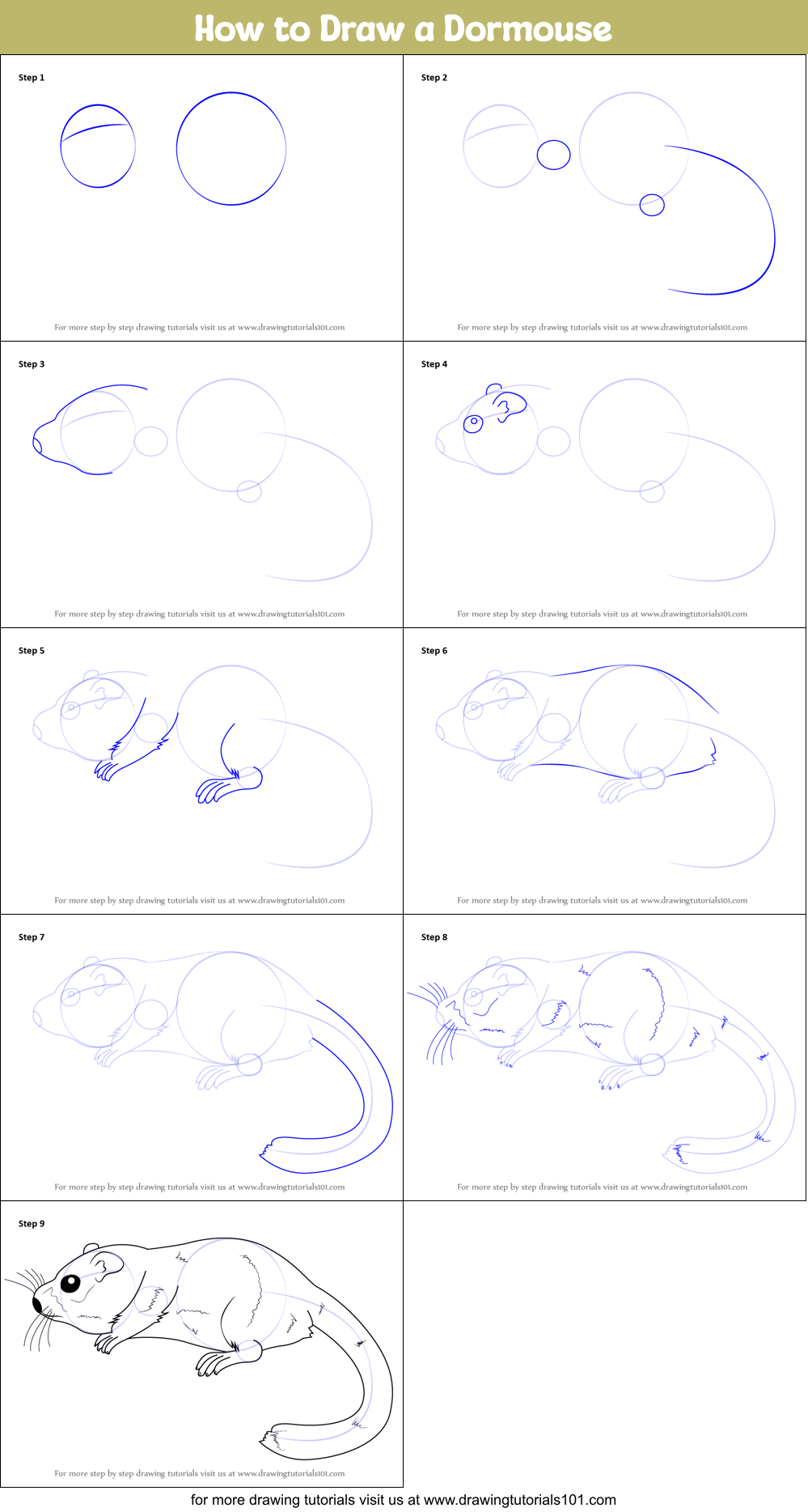 How to Draw a Dormouse printable step by step drawing sheet ...