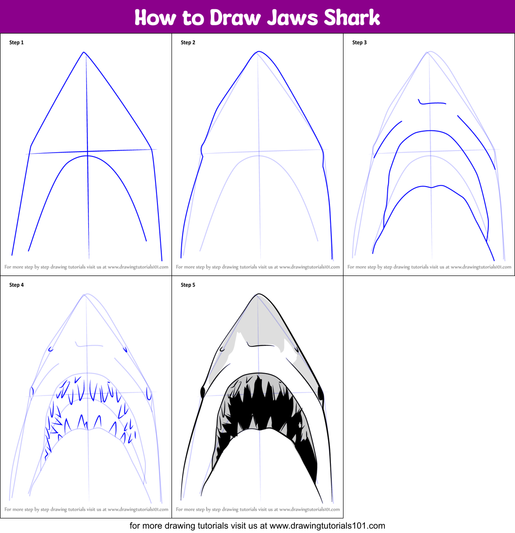 How to Draw Jaws Shark (Other Animals) Step by Step