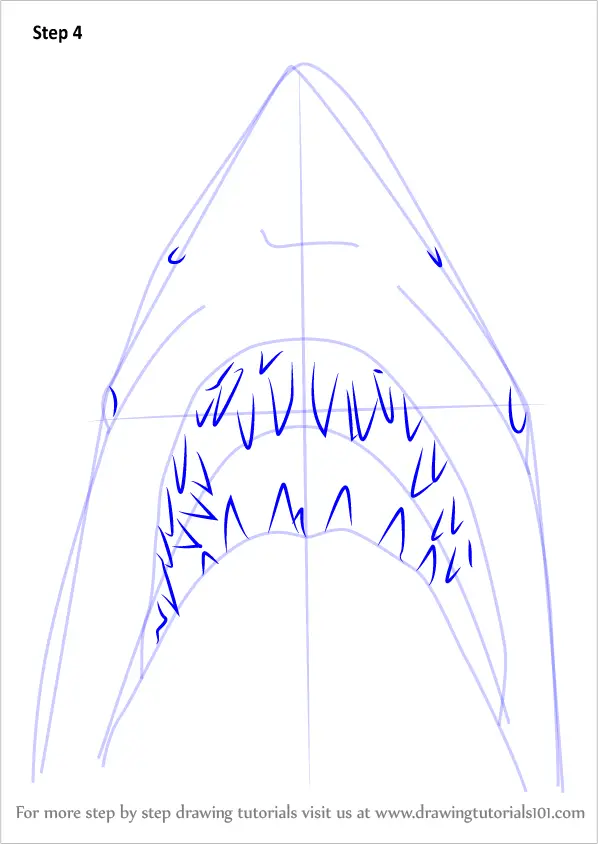 Learn How to Draw Jaws Shark (Other Animals) Step by Step : Drawing