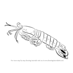 How to Draw a Killer Shrimp