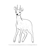 How to Draw a Klipspringer