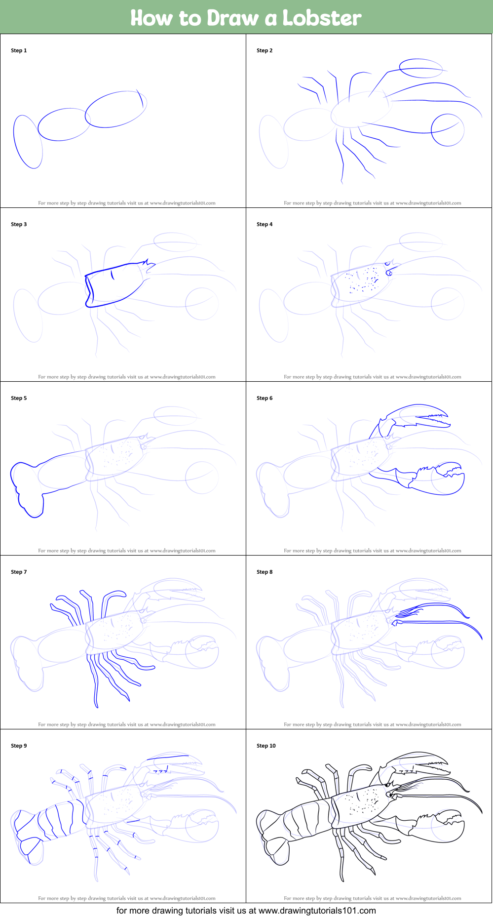 How to Draw a Lobster printable step by step drawing sheet