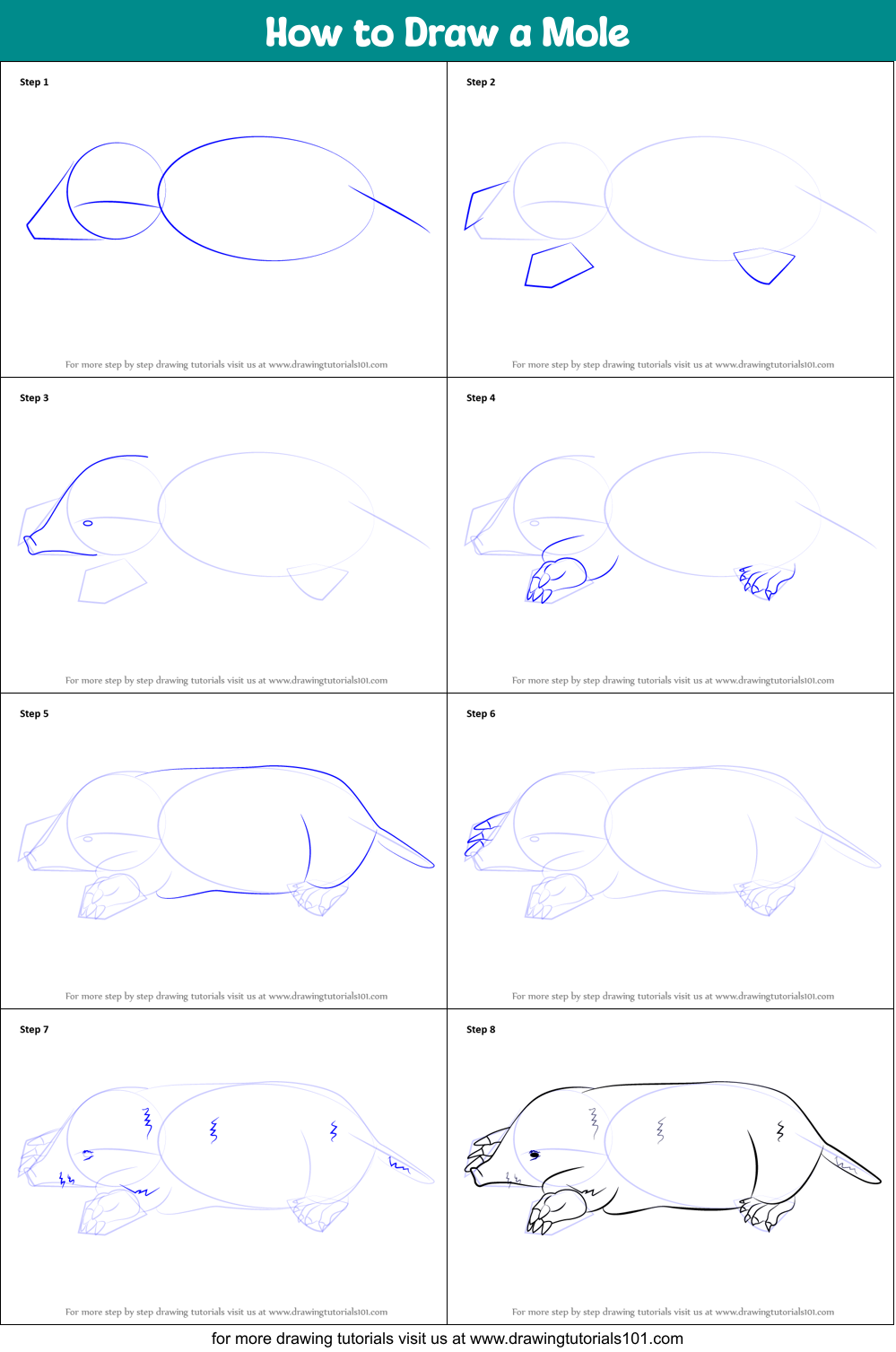 How to Draw a Mole printable step by step drawing sheet