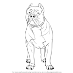 Learn How to Draw a Pitbull (Other Animals) Step by Step : Drawing