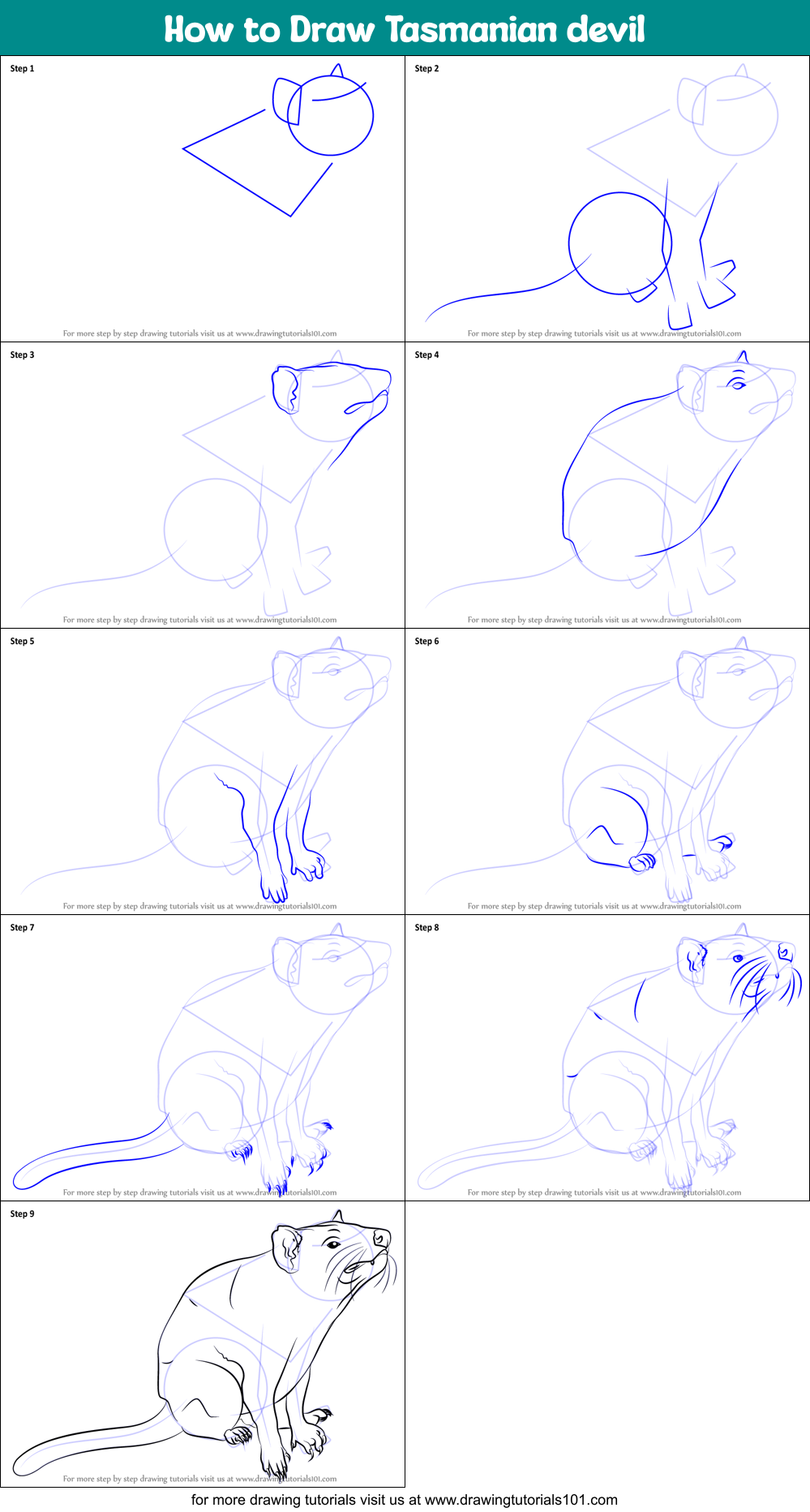 How to Draw Tasmanian devil printable step by step drawing sheet ...