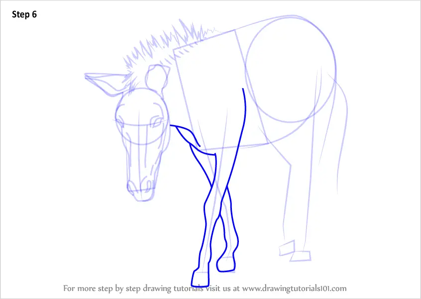 Learn How to Draw a Zonkey (Other Animals) Step by Step : Drawing Tutorials