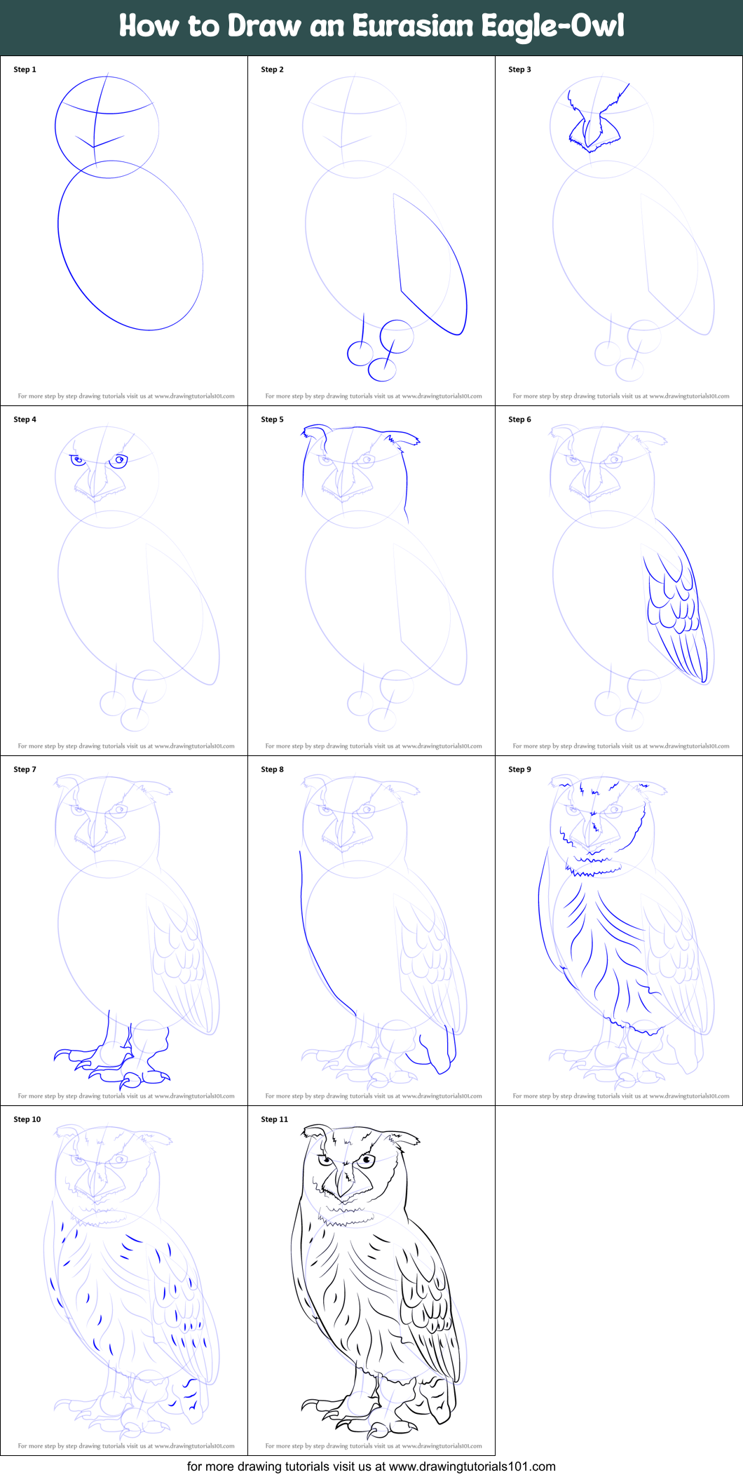 How To Draw An Eurasian Eagle Owl Printable Step By Step Drawing Sheet 