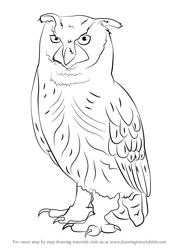 Learn How To Draw An Eurasian Eagle Owl Owls Step By Step Drawing Tutorials 