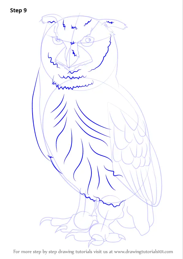 Learn How To Draw An Eurasian Eagle Owl Owls Step By Step Drawing Tutorials 