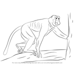 How to Draw a Proboscis Monkey