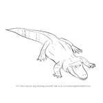 How to Draw a Alligator