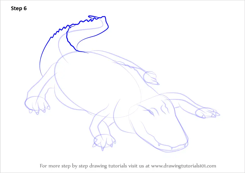 Learn How to Draw an American alligator (Reptiles) Step by Step ...