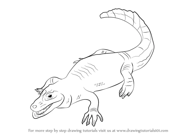Learn How to Draw a Caiman (Reptiles) Step by Step Drawing Tutorials
