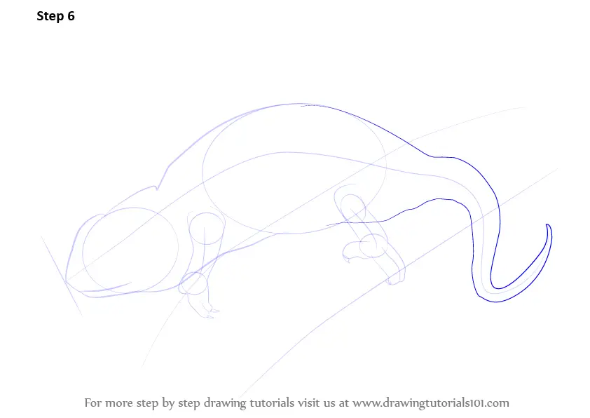 Learn How to Draw a Chameleon (Reptiles) Step by Step : Drawing Tutorials