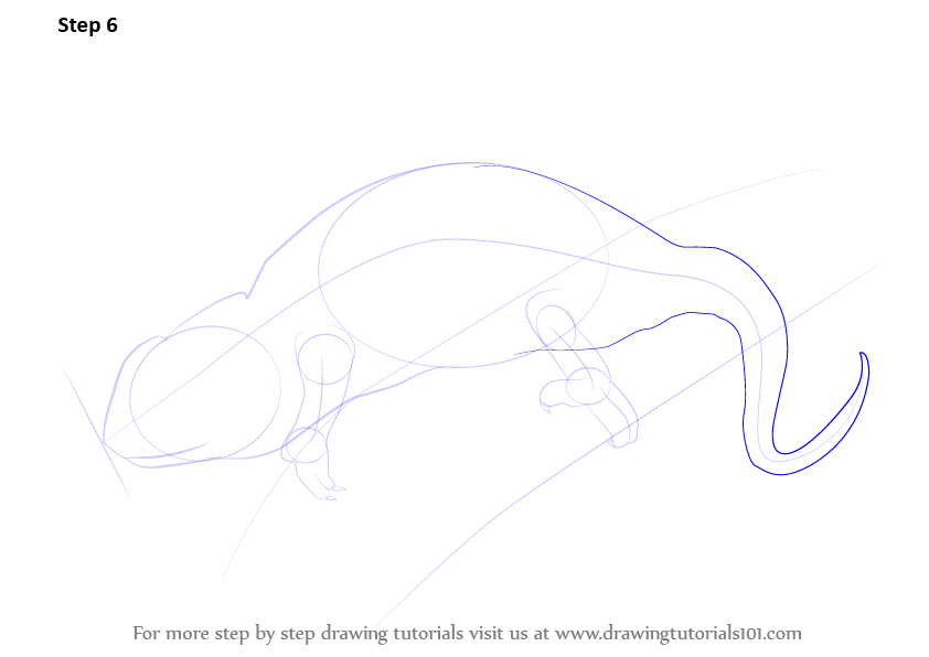 Learn How to Draw a Chameleon (Reptiles) Step by Step : Drawing Tutorials