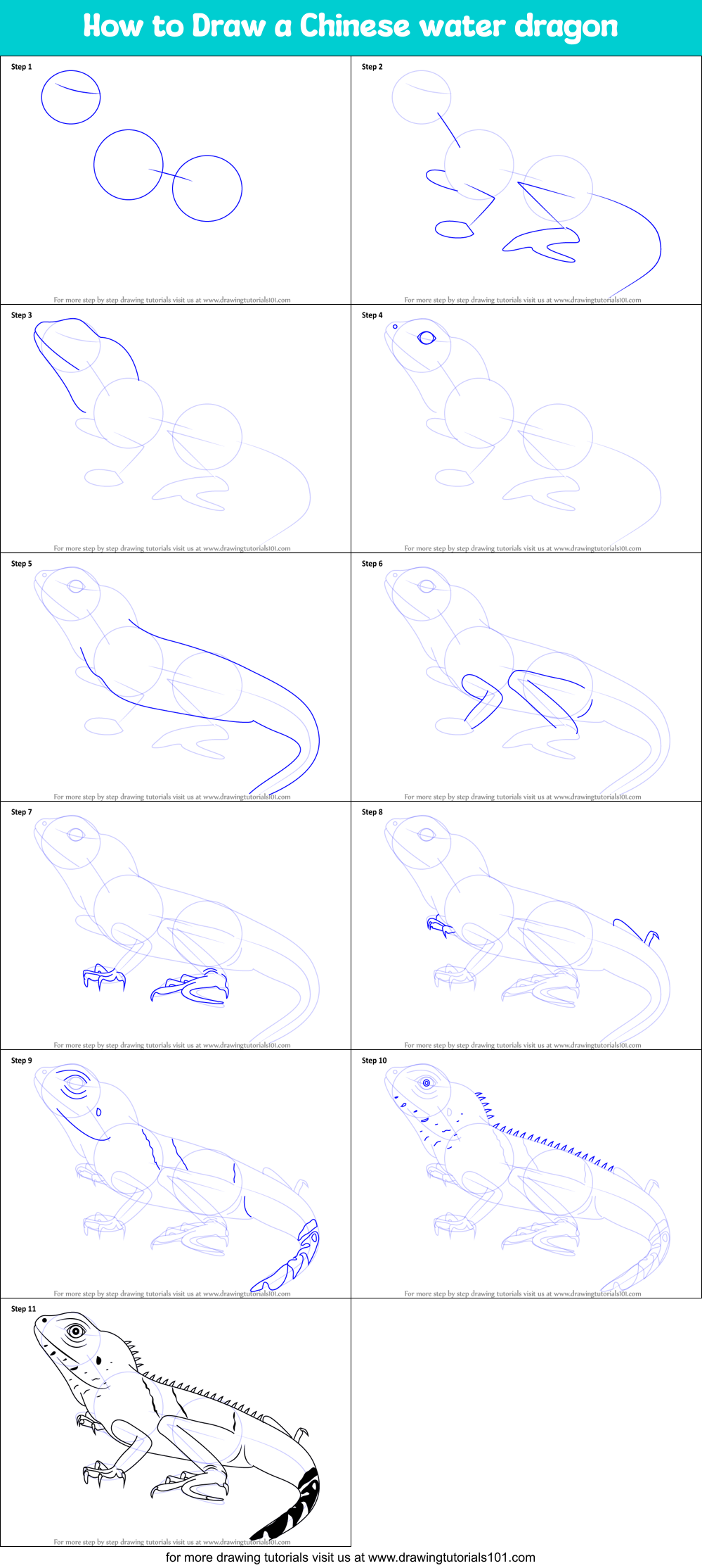 How to Draw a Chinese water dragon printable step by step drawing sheet