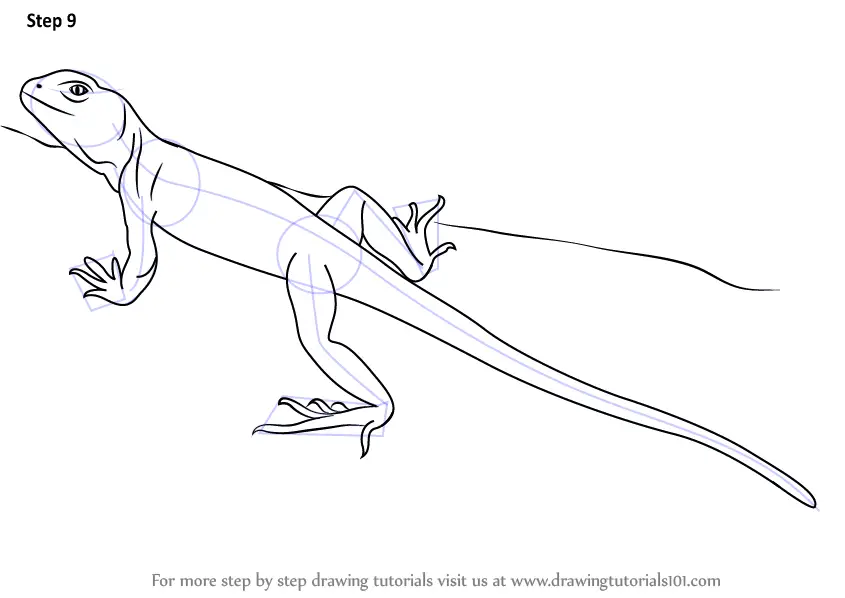 Lizard Pen Sketch Progress by PolizziGraphics on DeviantArt