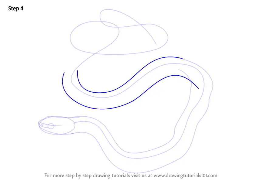 Learn How to Draw a Common Garter Snake (Reptiles) Step by Step