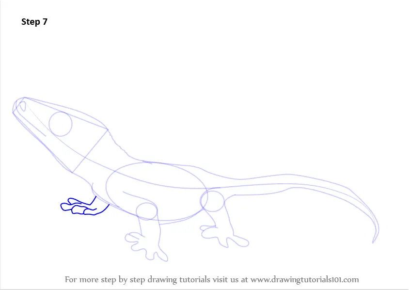 Learn How to Draw a Crested Gecko (Reptiles) Step by Step Drawing