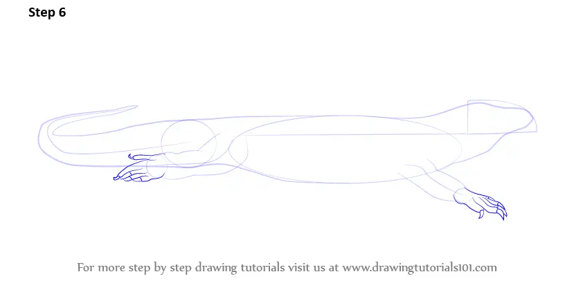 Step by Step How to Draw a Komodo Dragon : DrawingTutorials101.com