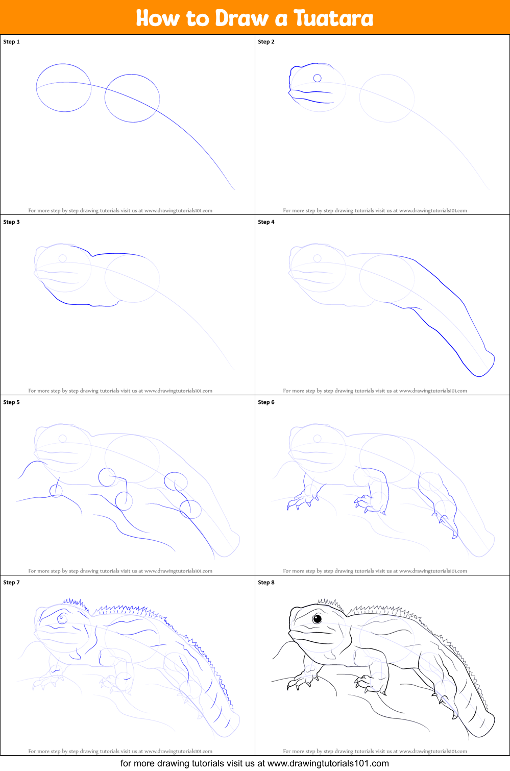 How to Draw a Tuatara (Reptiles) Step by Step