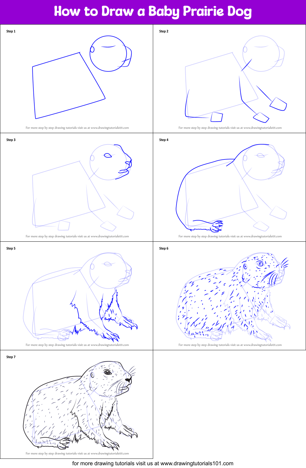  How To Draw A Prairie Dog  Learn more here 