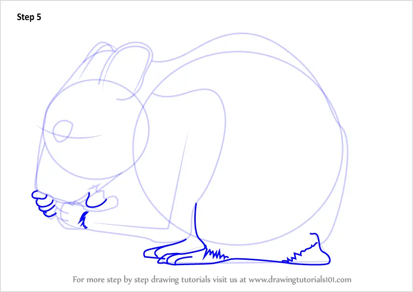 Learn How to Draw a Golden hamster (Rodents) Step by Step : Drawing ...
