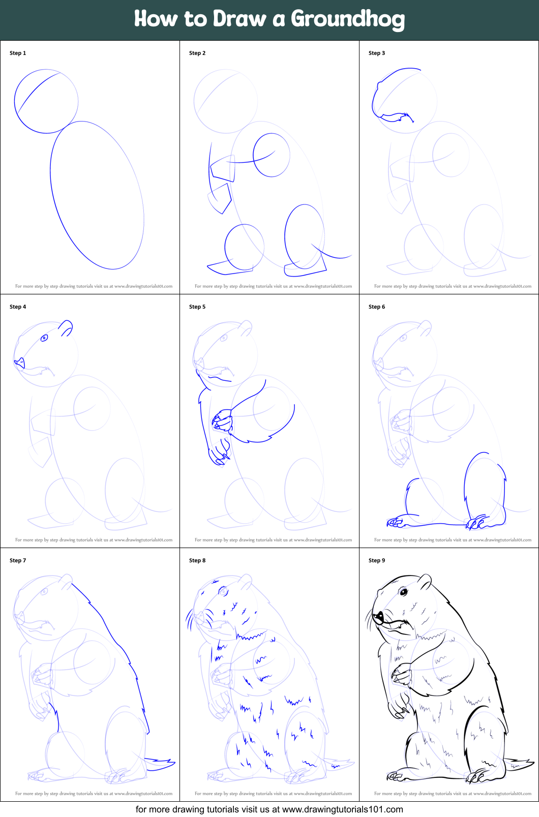 How to Draw a Groundhog printable step by step drawing sheet