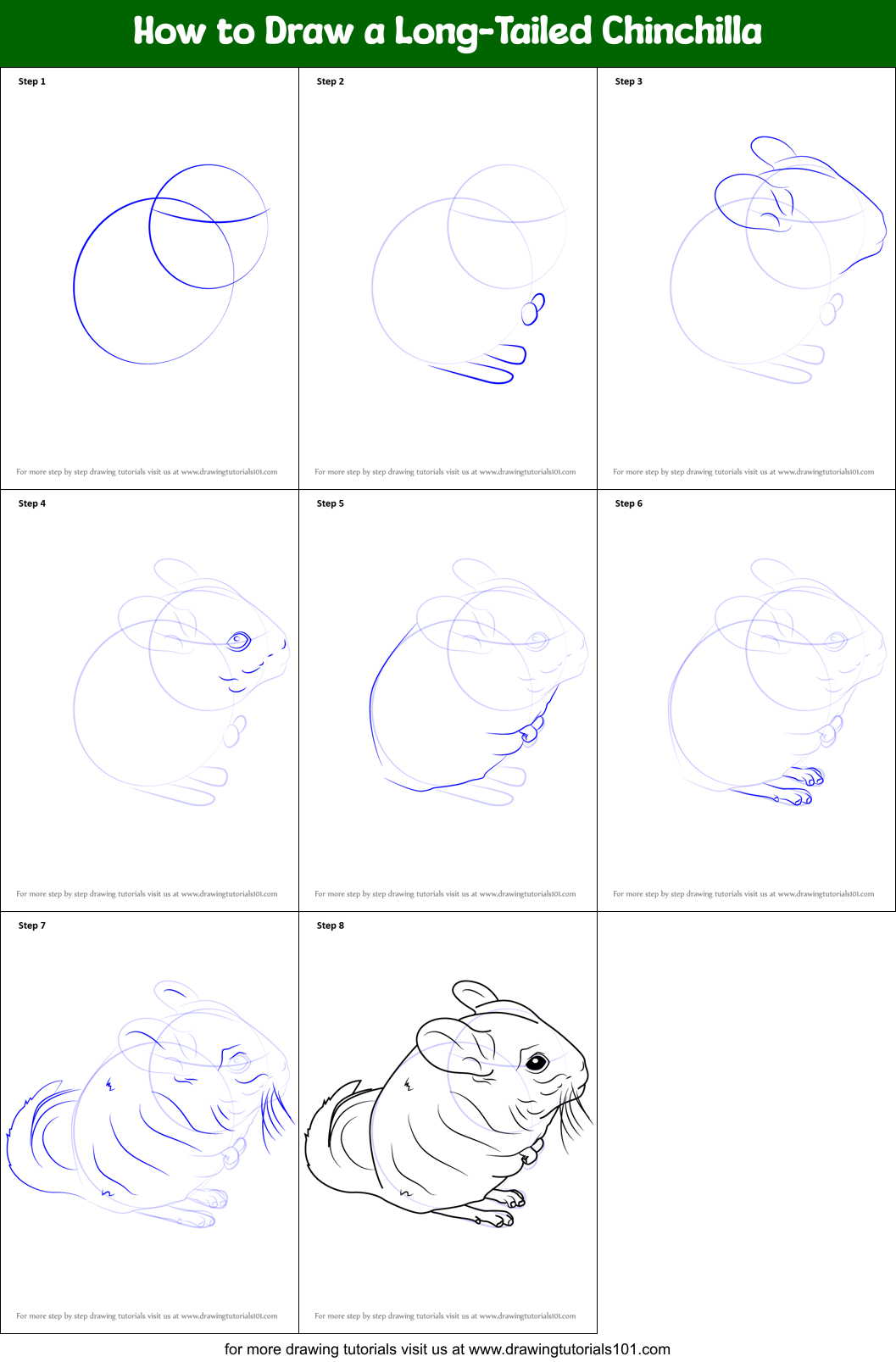 How to Draw a LongTailed Chinchilla printable step by step drawing