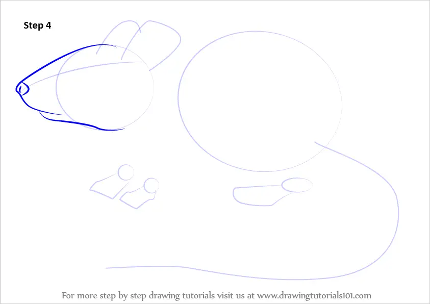 Learn How to Draw a Mouse (Rodents) Step by Step : Drawing Tutorials