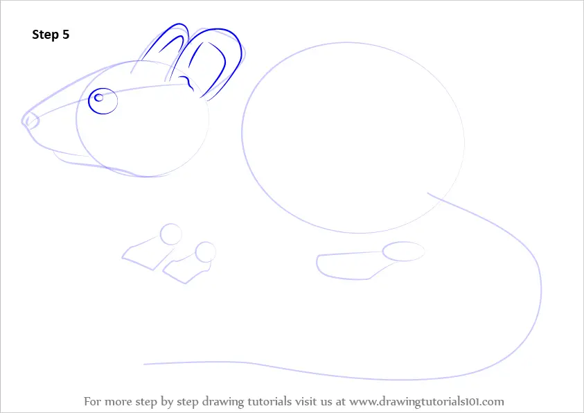 Learn How to Draw a Mouse (Rodents) Step by Step : Drawing Tutorials