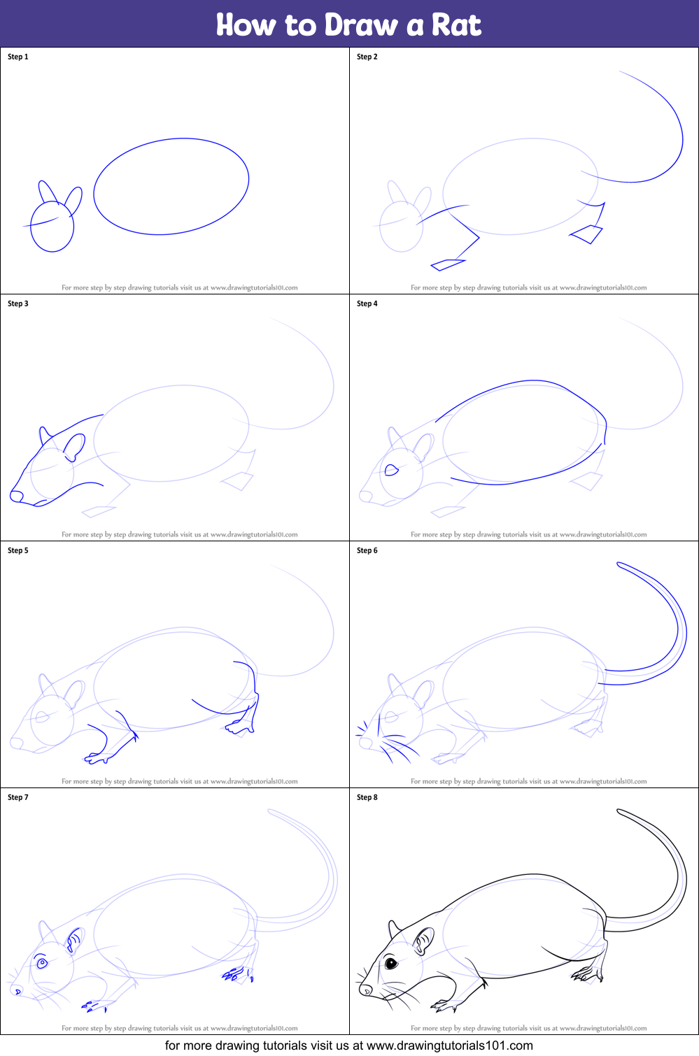 How to Draw a Rat printable step by step drawing sheet