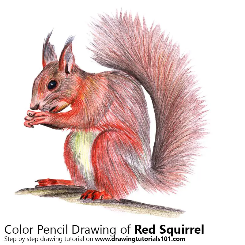 Featured image of post Colour Pencil Drawing Tutorial / Color pencil drawings may not be consider finished works of art by some artists;