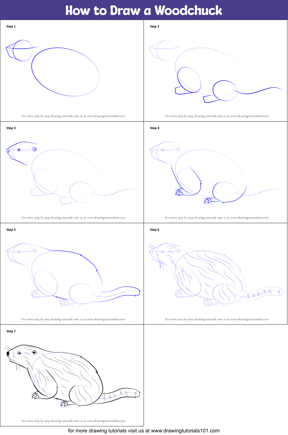 How to Draw a Woodchuck printable step by step drawing sheet