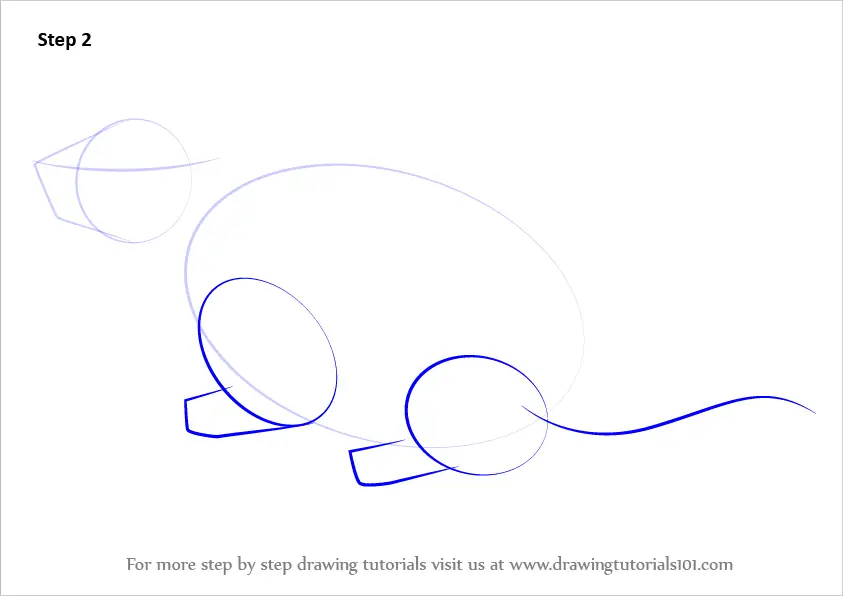 Step by Step How to Draw a Woodchuck