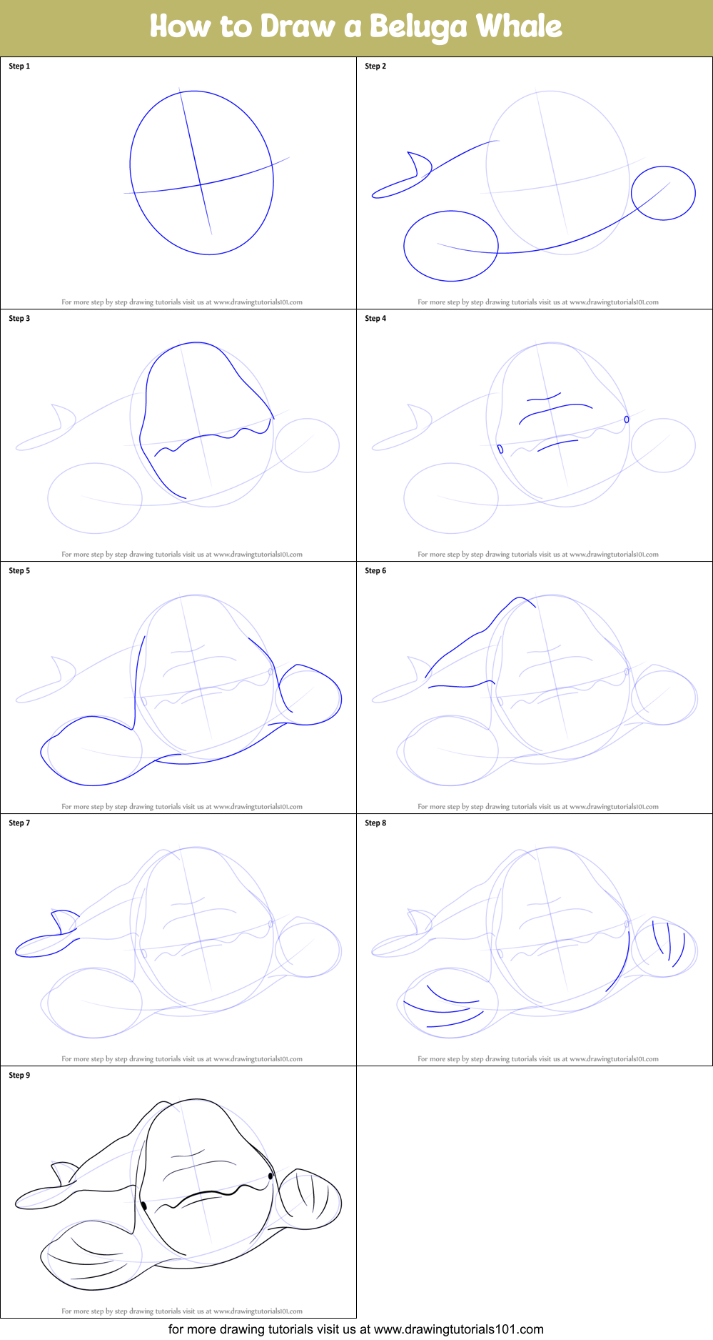 How to Draw a Beluga Whale printable step by step drawing sheet