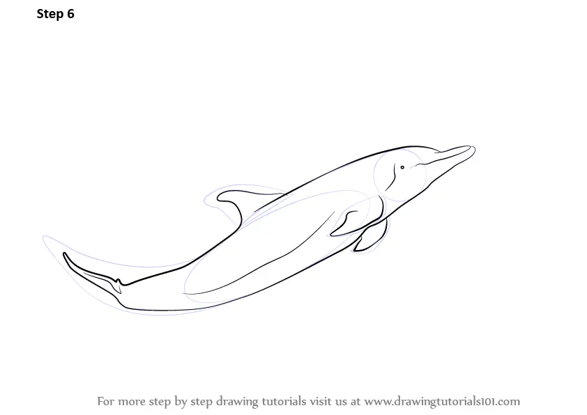Dolphin Fish drawing free image download