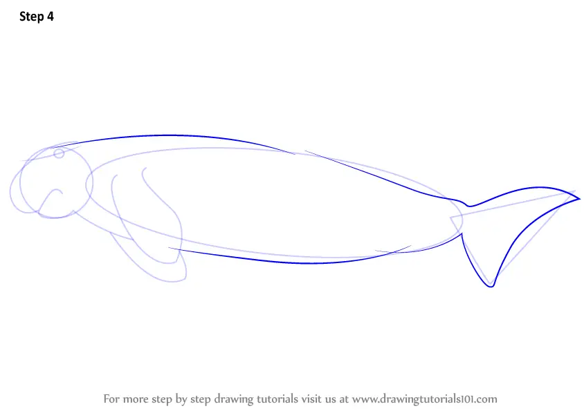 Step by Step How to Draw a Dugong : DrawingTutorials101.com