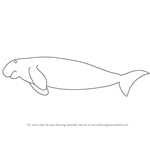How to Draw a Dugong