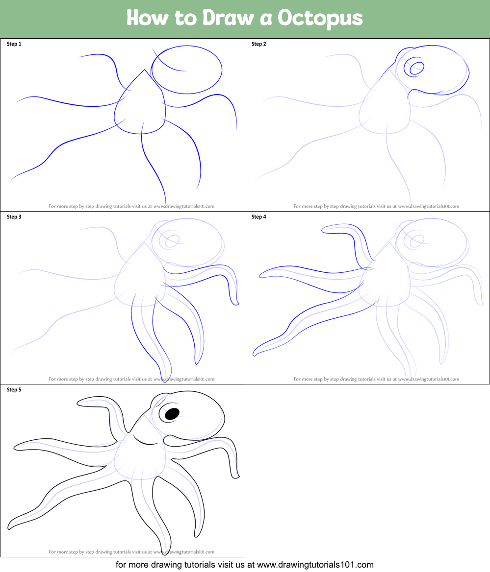 How to Draw a Octopus printable step by step drawing sheet