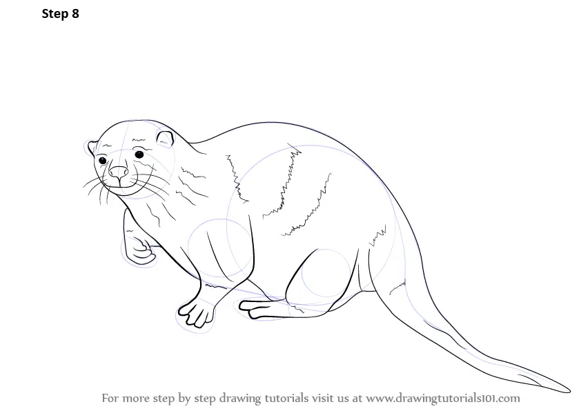 Learn How to Draw an Otter (Sea Water Animals) Step by Step Drawing
