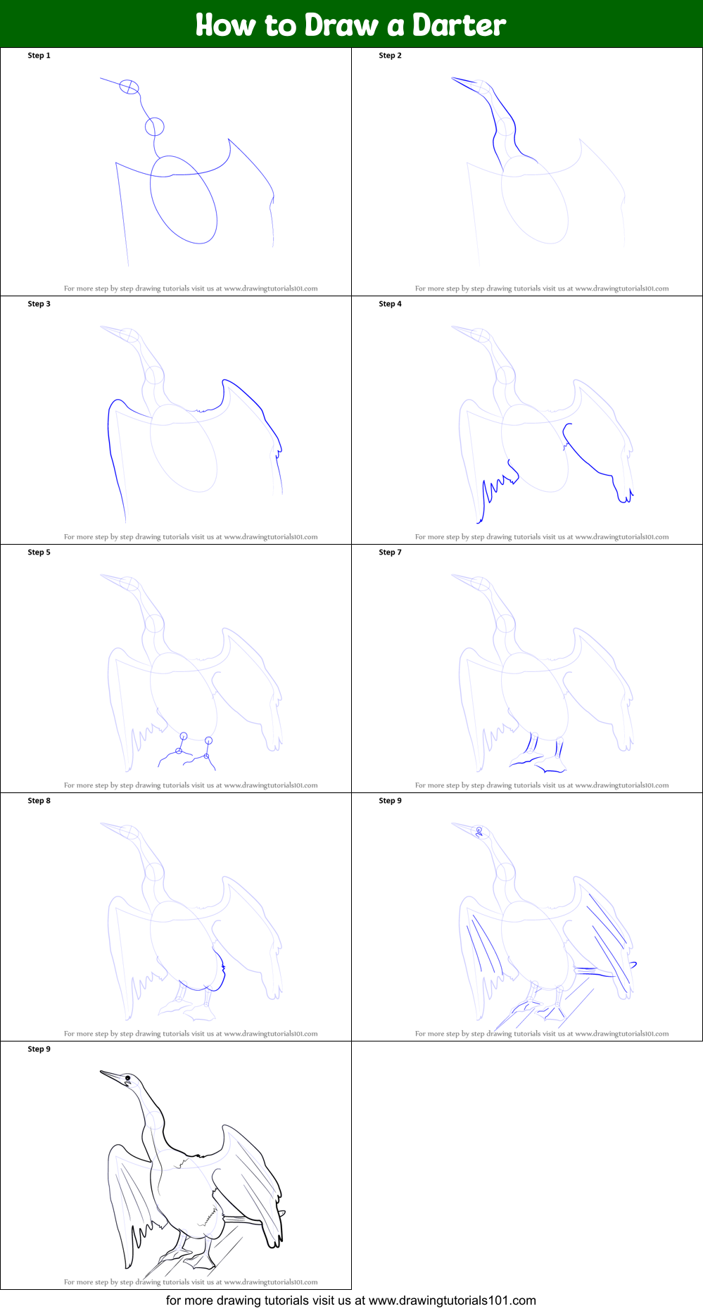 How to Draw a Darter printable step by step drawing sheet ...