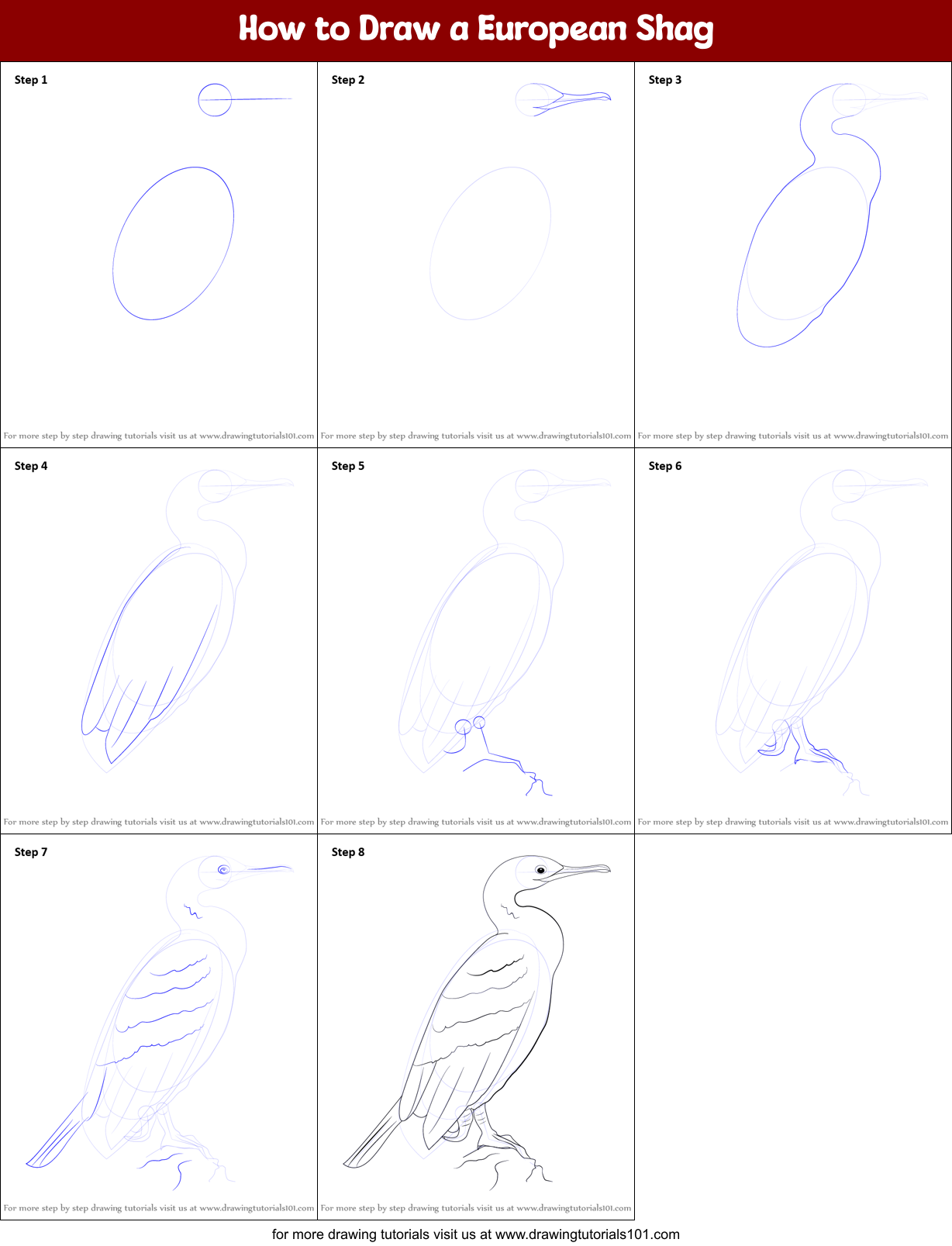 How to Draw a European Shag printable step by step drawing sheet ...