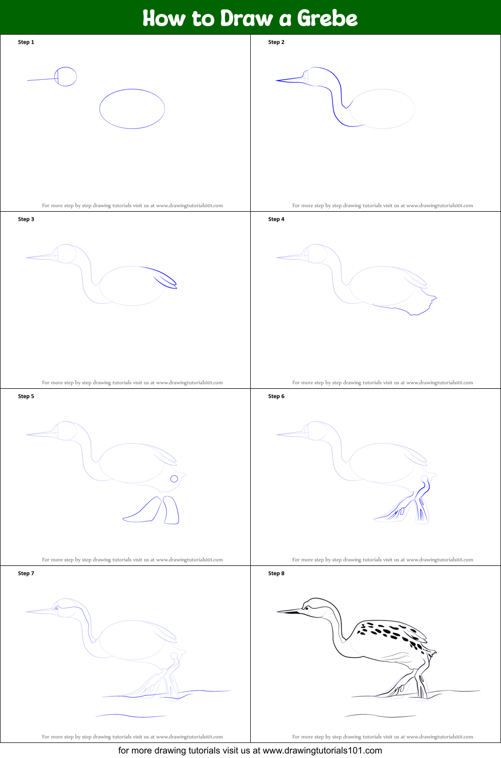 How to Draw a Grebe printable step by step drawing sheet ...