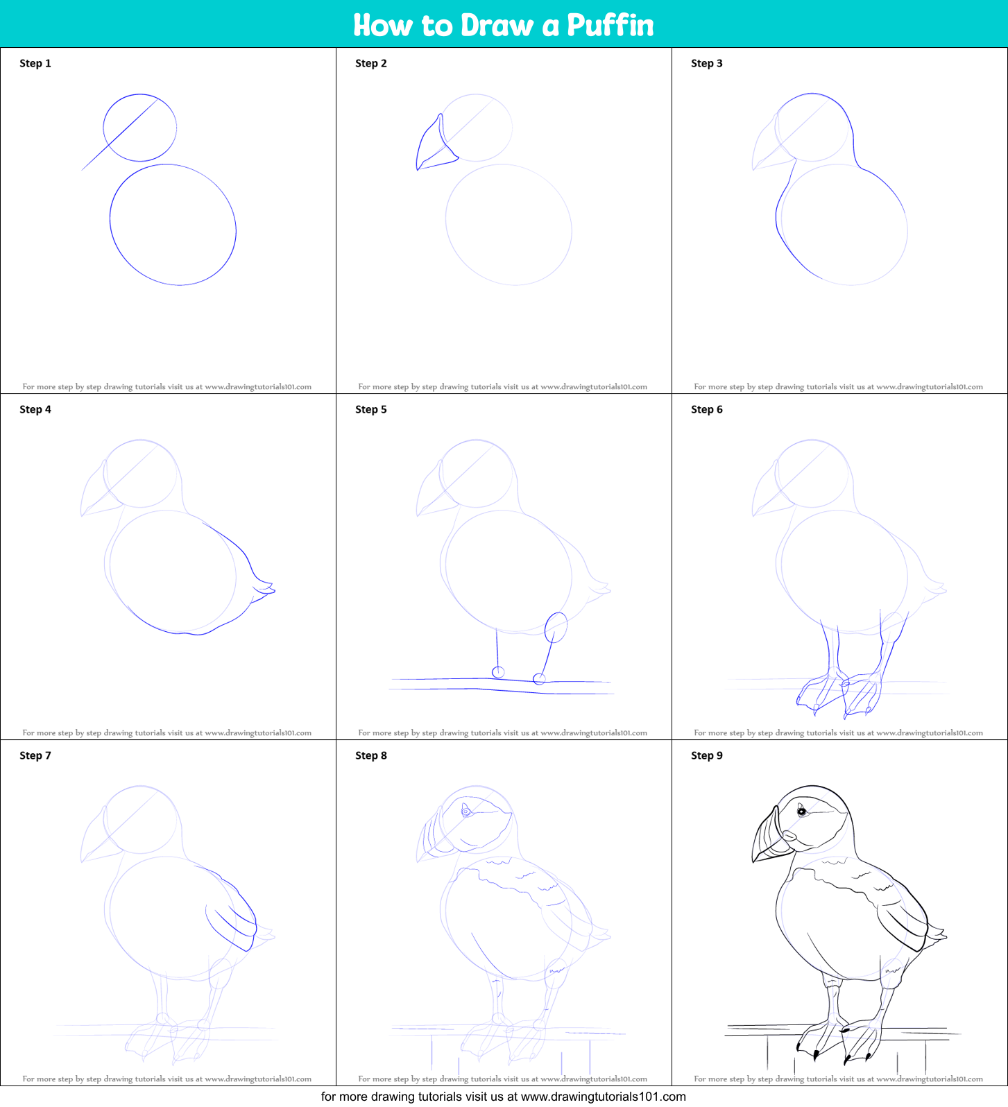 How to Draw a Puffin printable step by step drawing sheet ...