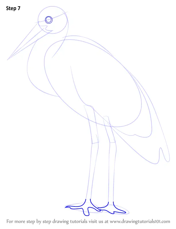 Learn How to Draw a Stork (Seabirds) Step by Step Drawing Tutorials